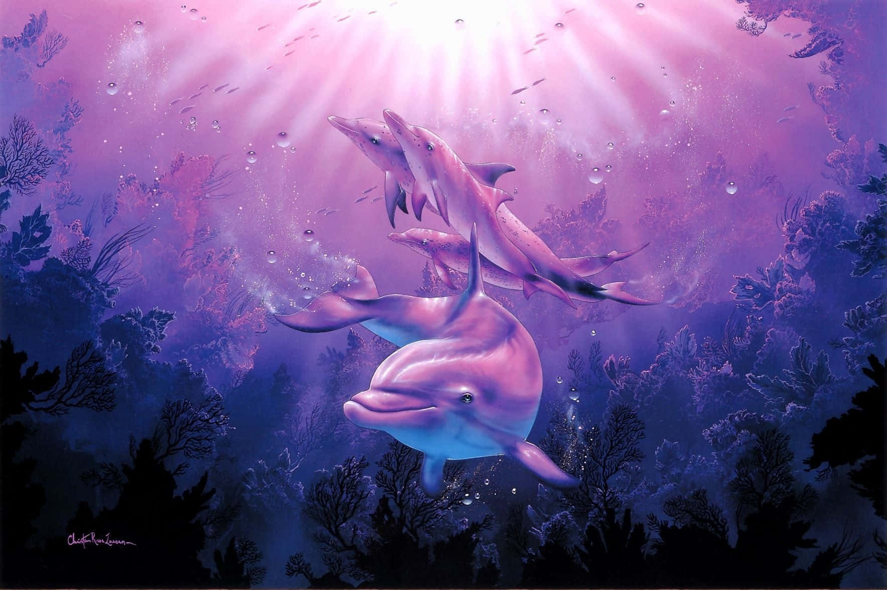  Delfine Hintergrundbild 1768x1177. Rosaer Delfin Wallpaper KOSTENLOS