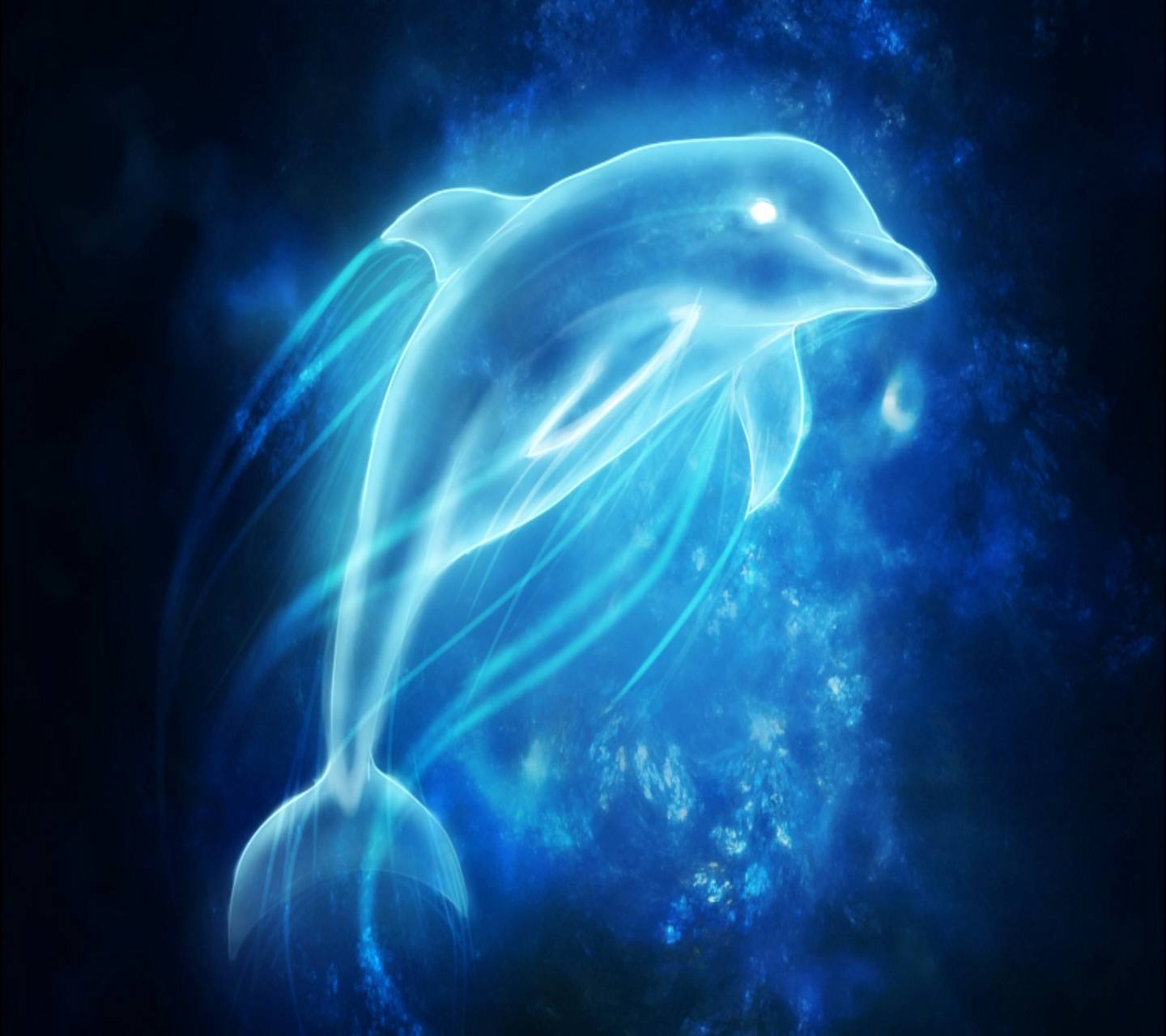  Delfine Hintergrundbild 1440x1280. New Delfine wallpaper picture