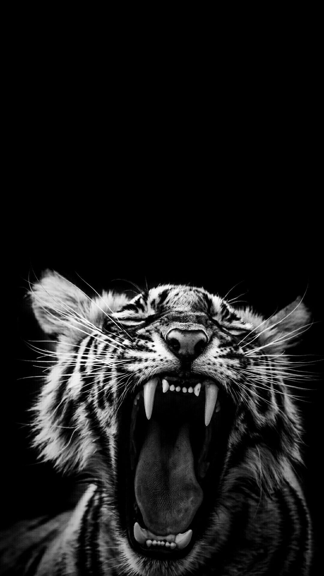 Weißer Tiger Hintergrundbild 1080x1920. TIGER DARK WALLPAPER. Wild animal wallpaper, Animal wallpaper, Tiger artwork