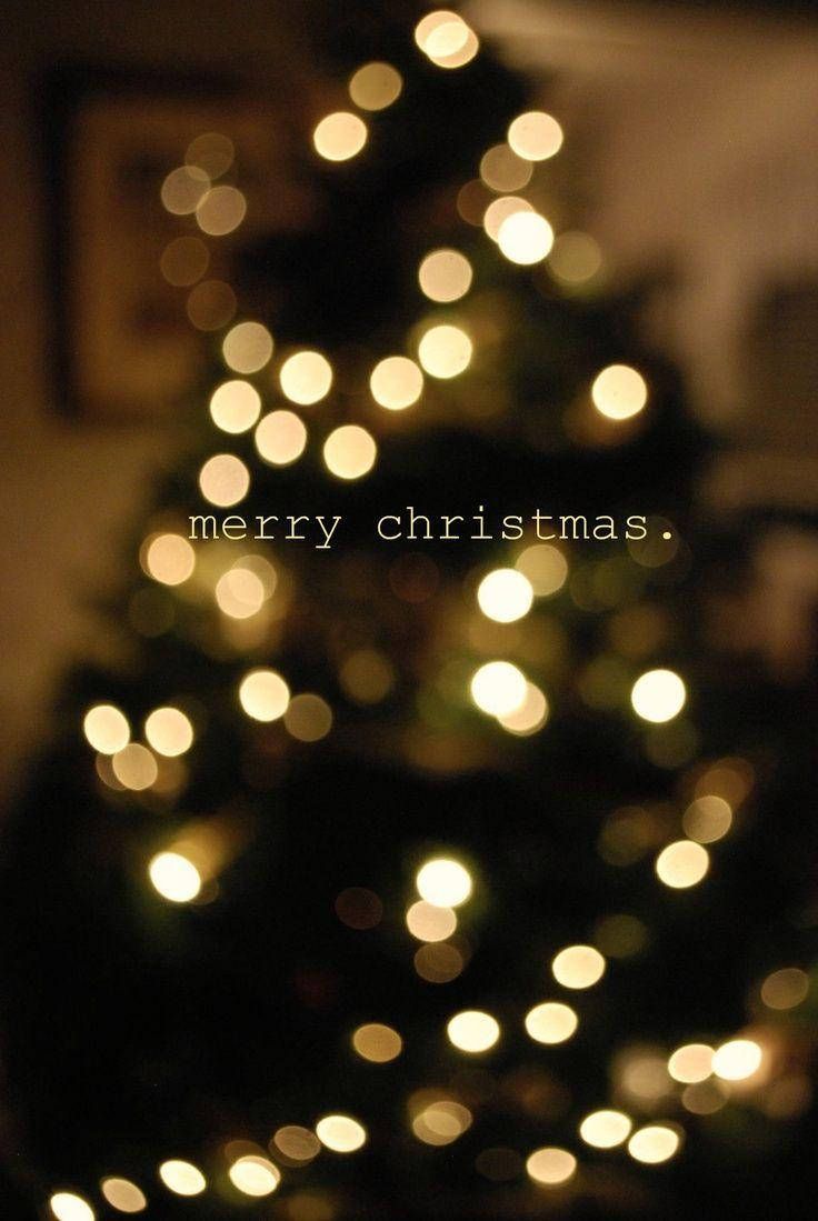  Weihnachts Hintergrundbild 736x1099. Cute Aesthetic Christmas Picture