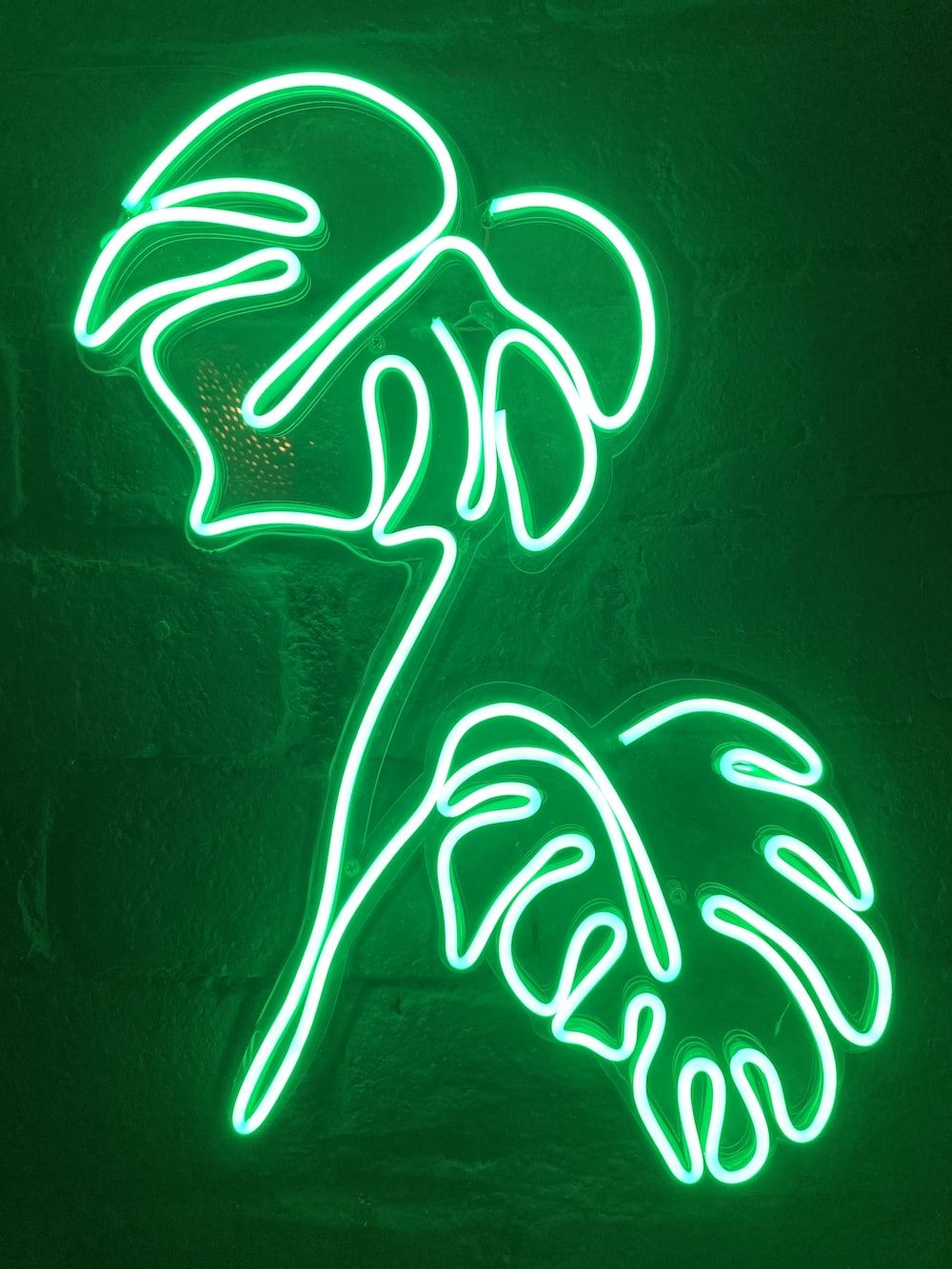  Grüner Hintergrundbild 1000x1333. Foto zum Thema Weiße und grüne Neonlichtbeschilderung