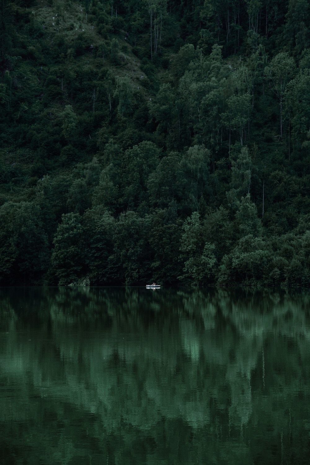  Wald See Hintergrundbild 1000x1499. Forest Wallpaper: Free HD Download [HQ]. Dark green aesthetic, Dark green wallpaper, Green aesthetic