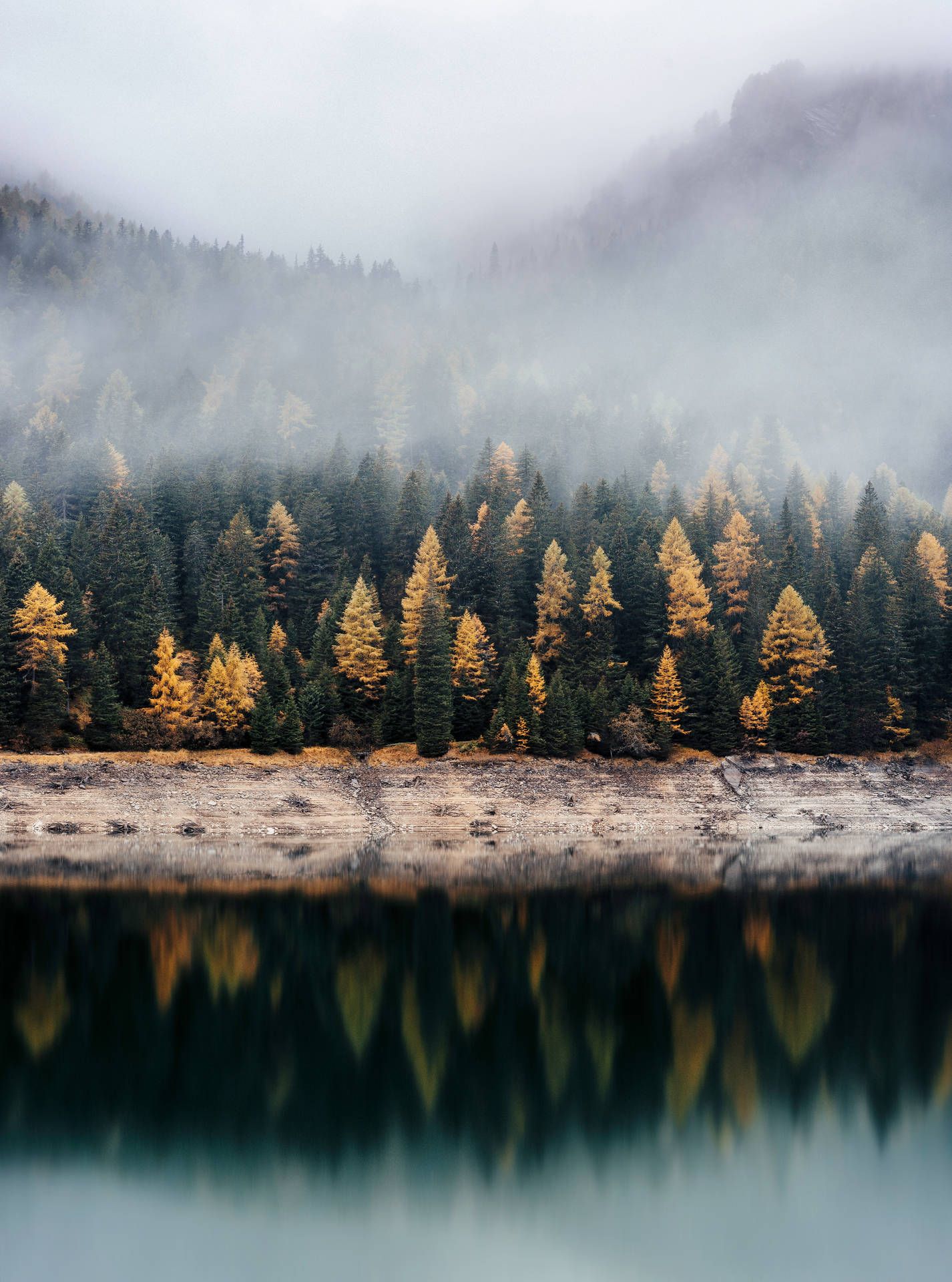  Wald See Hintergrundbild 1426x1920. Downloaden Herbstlicherwald Mit Spiegelung Der Bäume Wallpaper