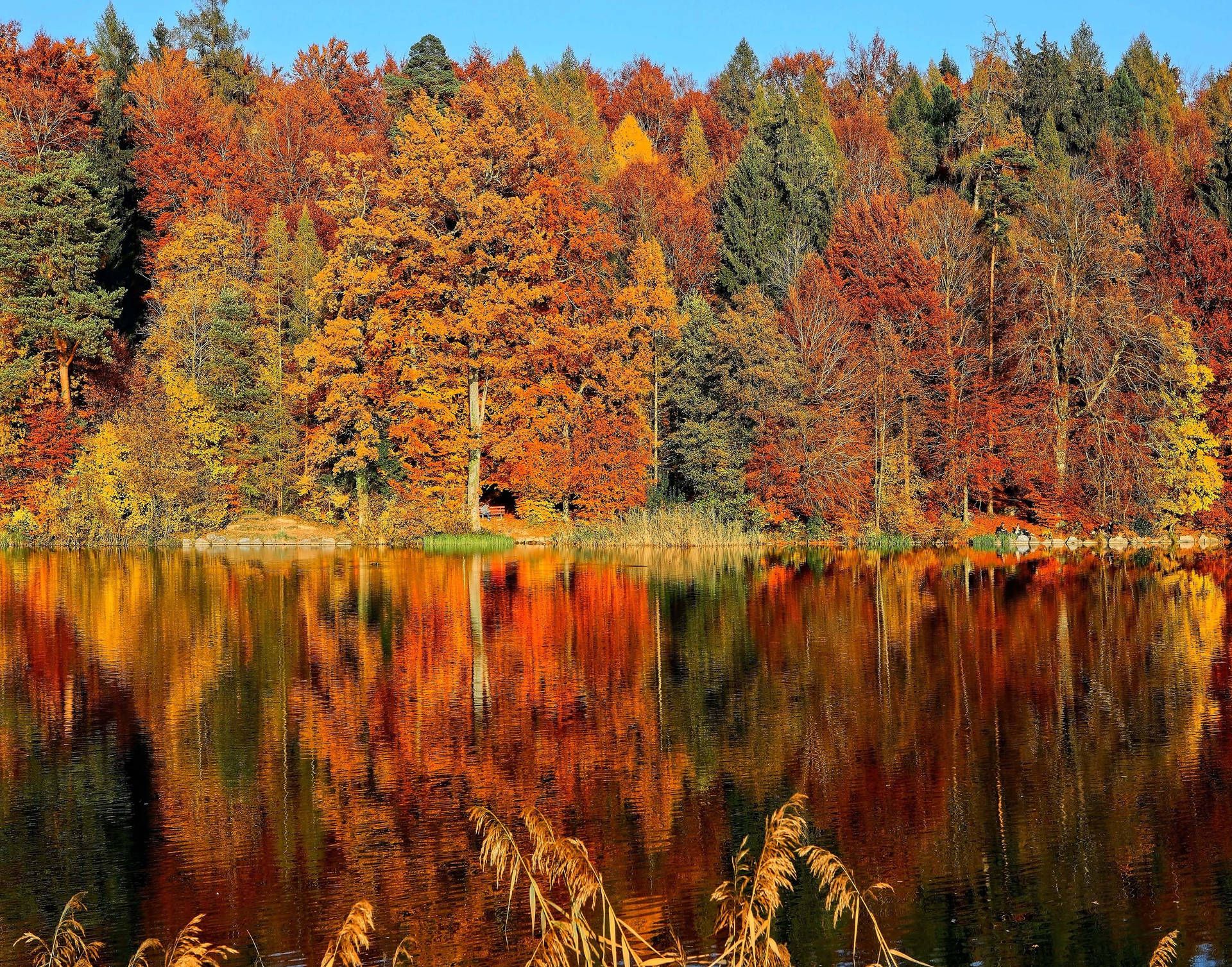  Wald See Hintergrundbild 1920x1507. Downloaden Herbstästhetik Horgenberg See Wallpaper