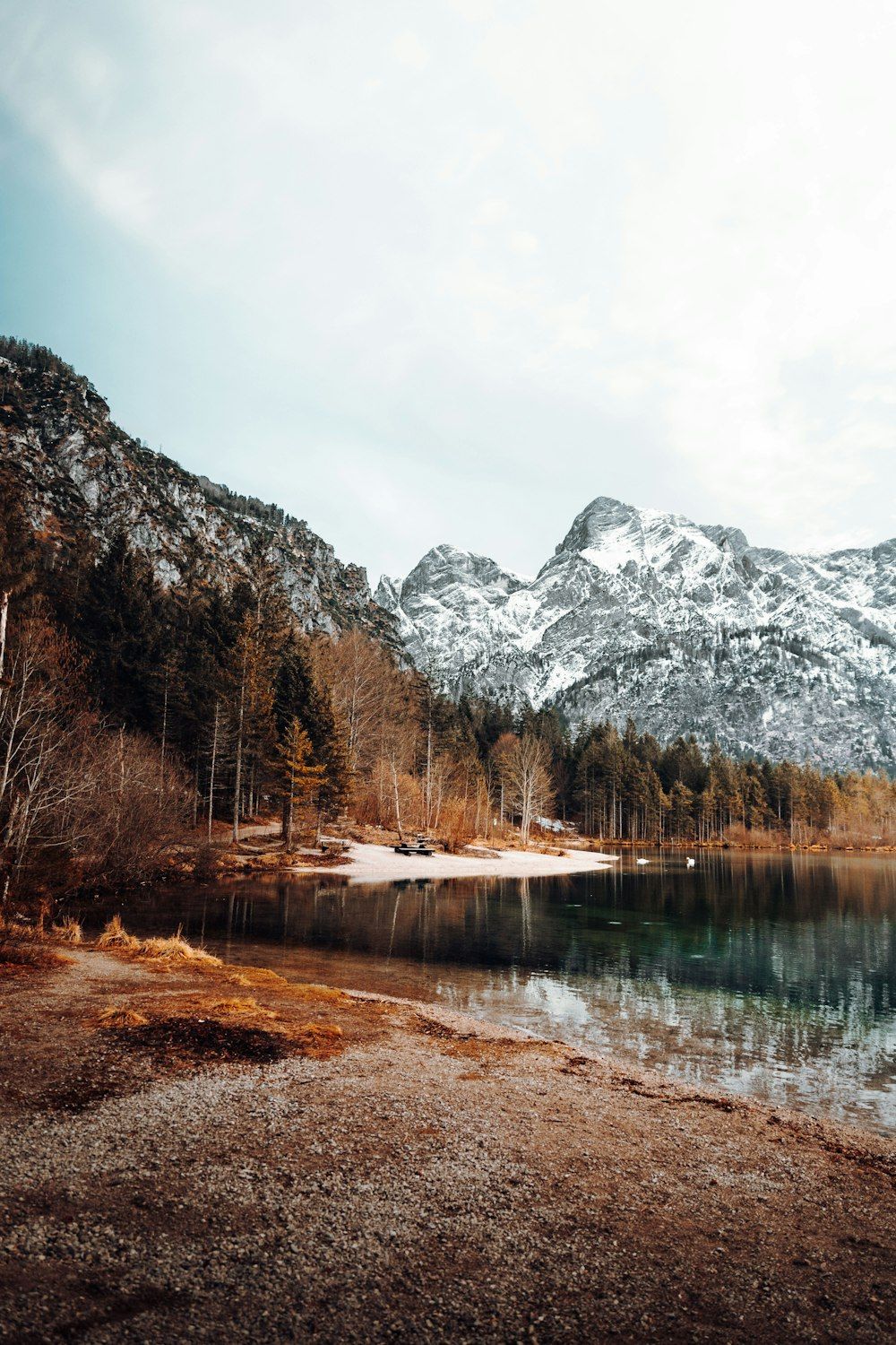  Wald See Hintergrundbild 1000x1500. Foto zum Thema See tagsüber von Bäumen und Bergen umgeben