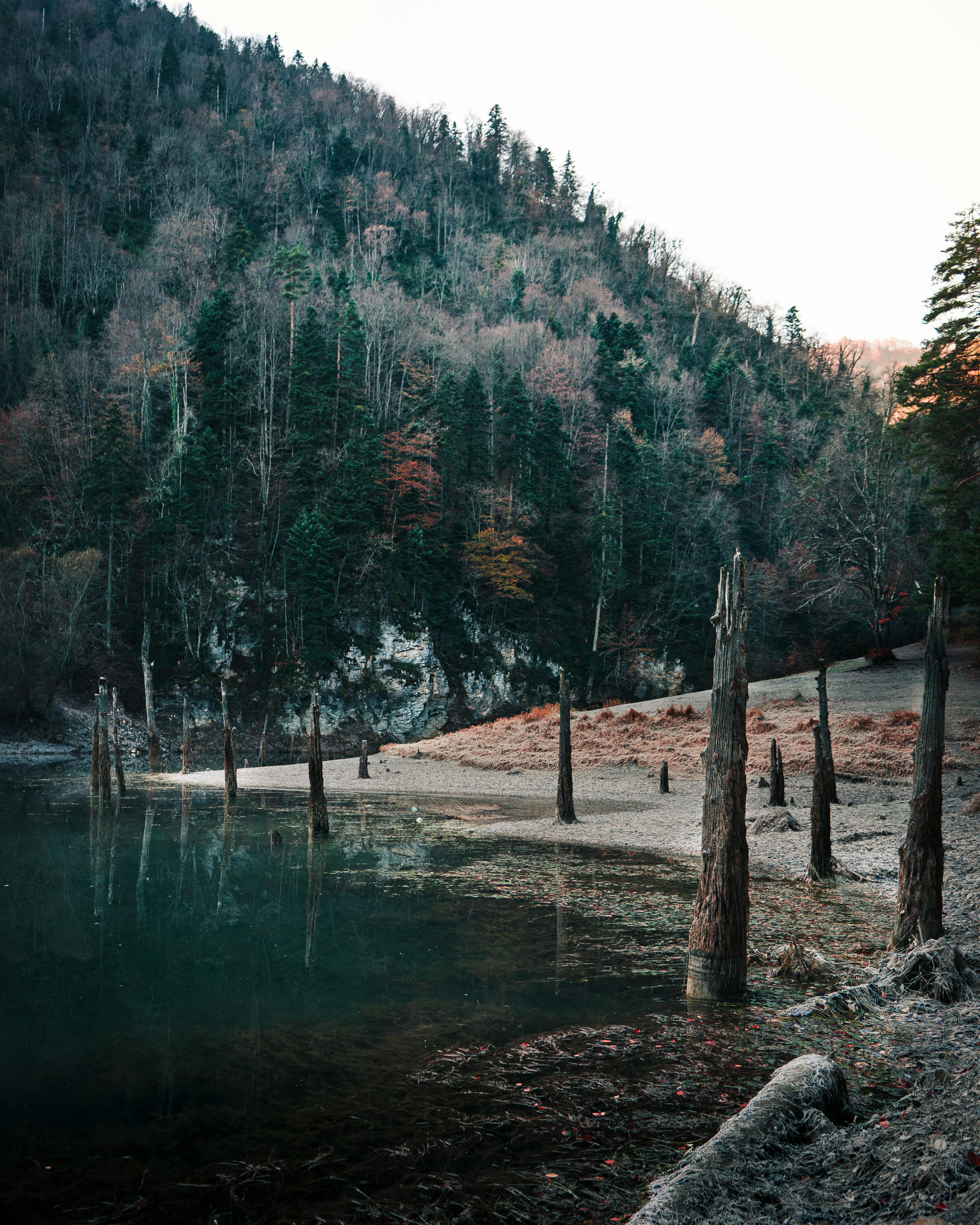  Wald See Hintergrundbild 4000x5000. Person, Die See Unter Den Weißen Wolken Zeigt · Kostenloses Stock Foto