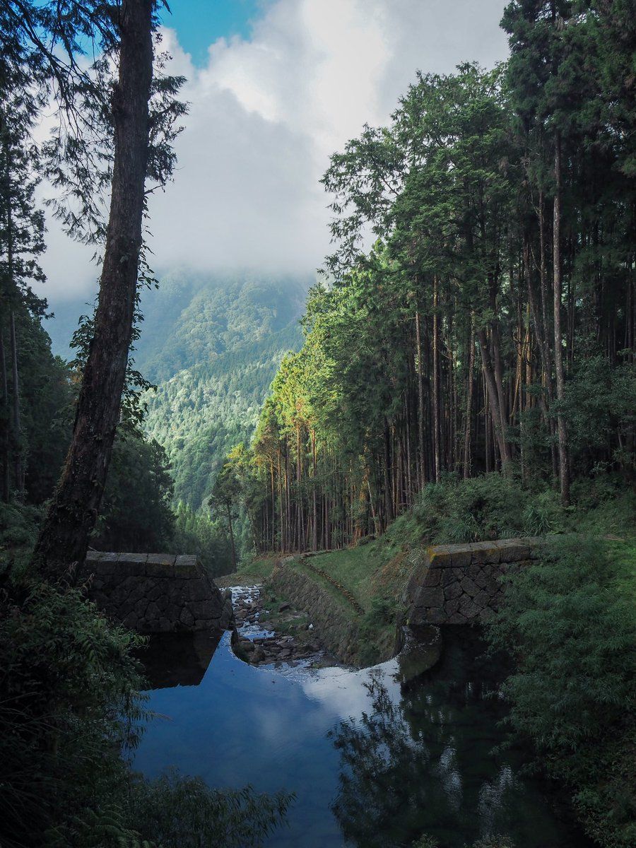  Wald See Hintergrundbild 900x1200. Taiwan in Deutschland / X