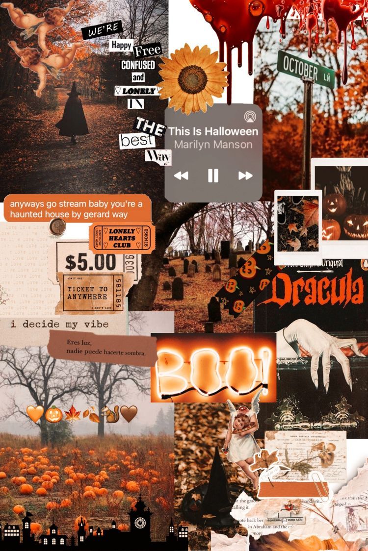  Halloween Hintergrundbild 750x1124. Autumn Collage Aesthetic Wallpaper : This is Halloween I Take You. Wedding Readings. Wedding Ideas