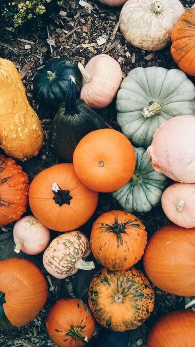  Herbst Handy Hintergrundbild 675x1200. Fall wallpaper