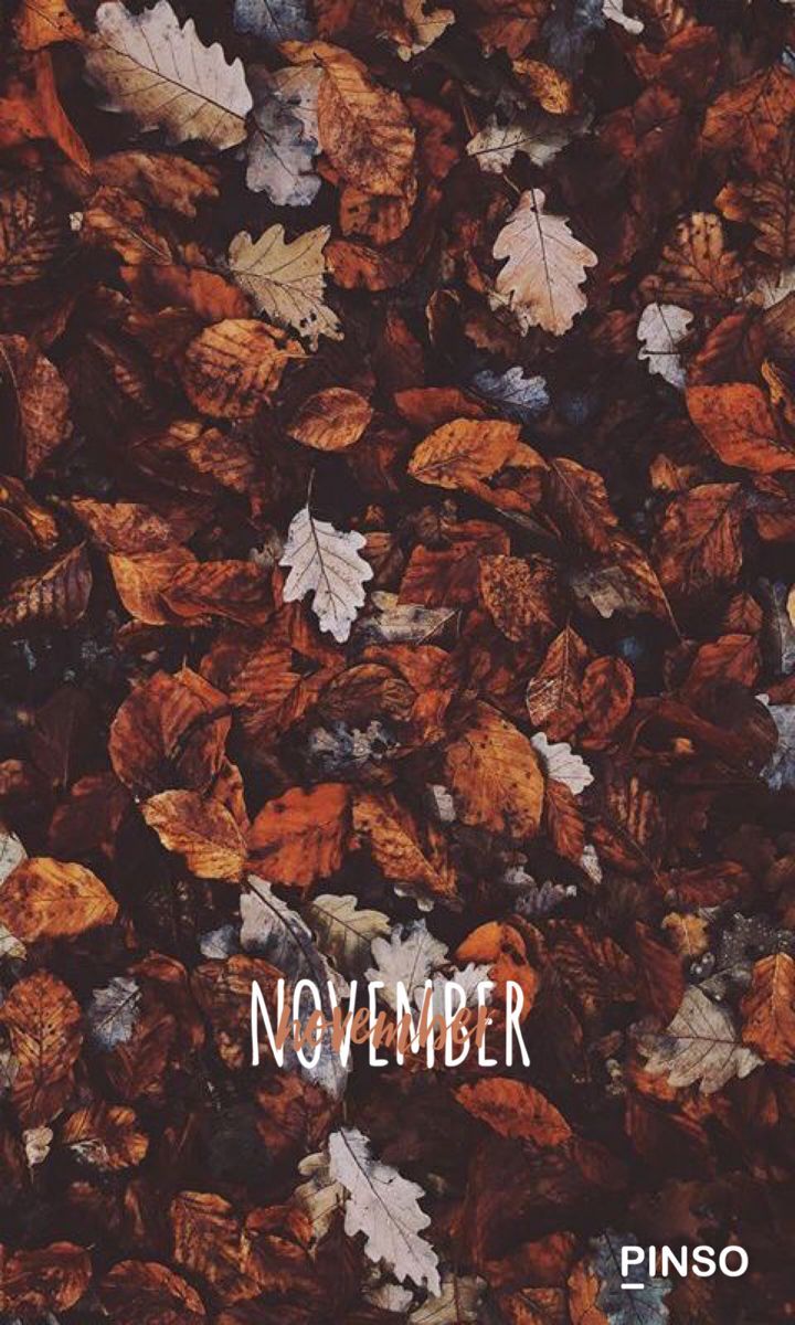  Herbst Handy Hintergrundbild 720x1200. November background. Autumn leaves wallpaper, November wallpaper, Cute fall wallpaper