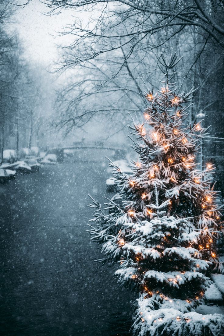  HD Weihnachten Hintergrundbild 735x1103. Cute Christmas Aesthetic Wallpaper For Your iPhone! All in HD!. iPhone wallpaper winter, Cute christmas wallpaper, Winter wallpaper