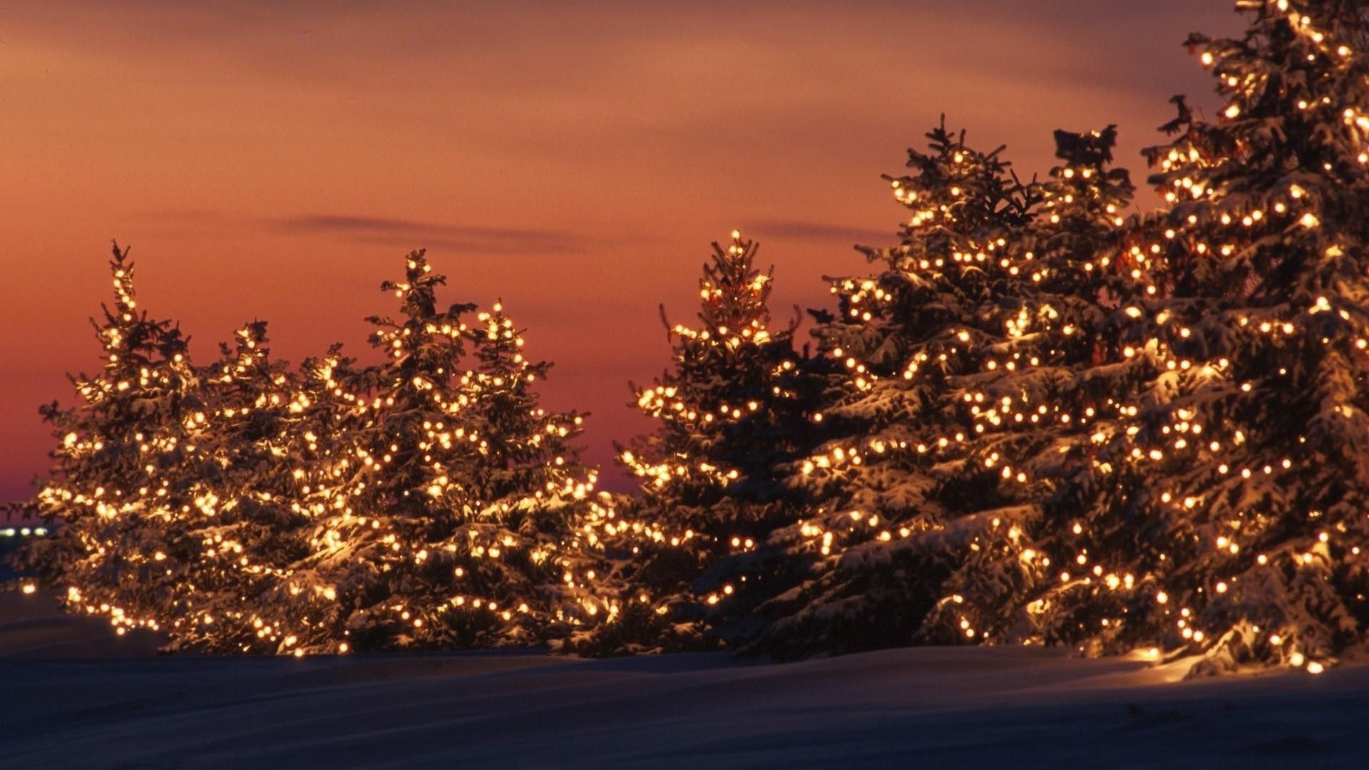  HD Weihnachten Hintergrundbild 1920x1080. Pine Trees With Lights Under Light Orange Sky HD Christmas Wallpaper