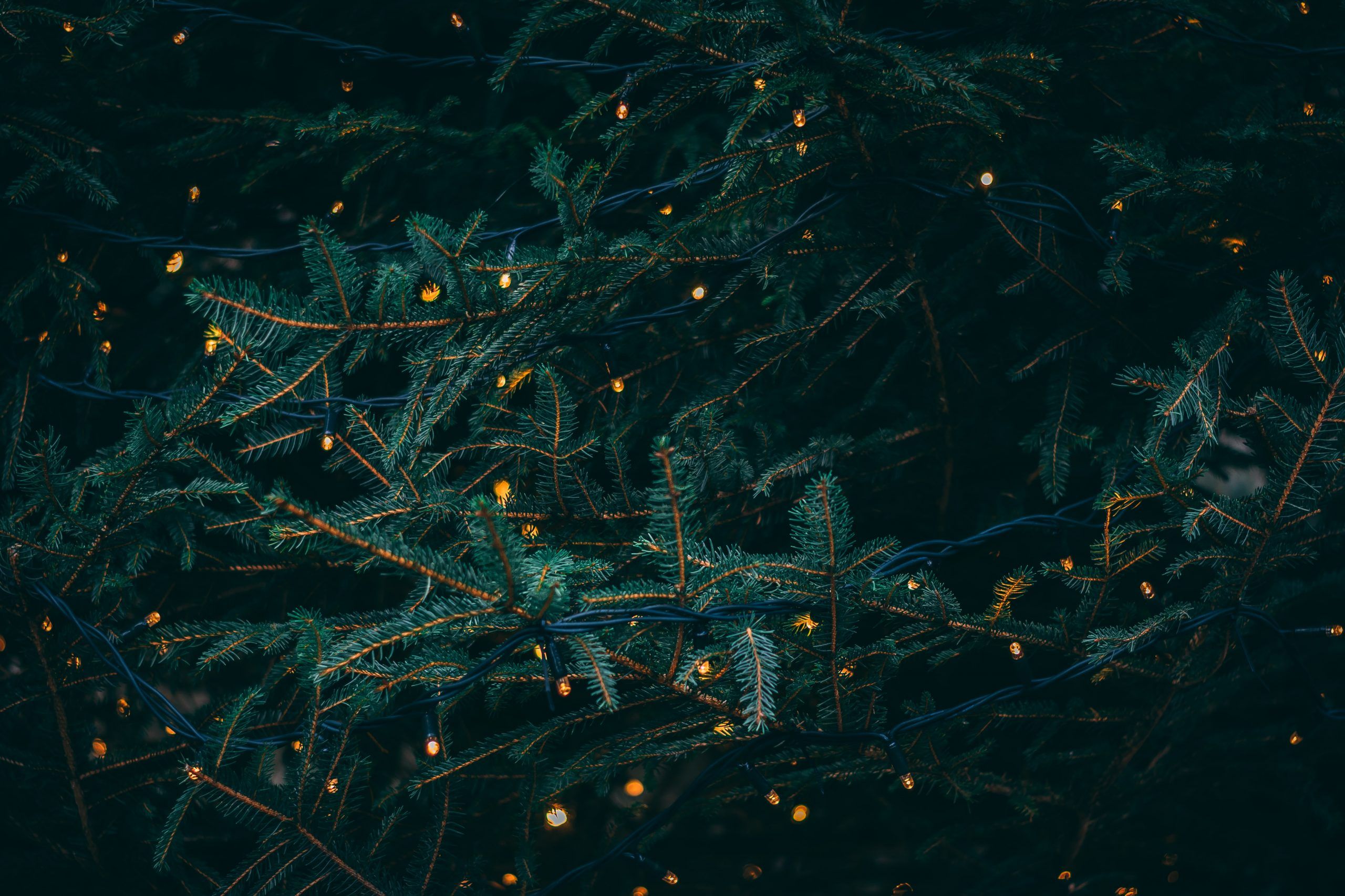  HD Weihnachten Hintergrundbild 2560x1707. Dinge für die Umwelt: Weihnachten