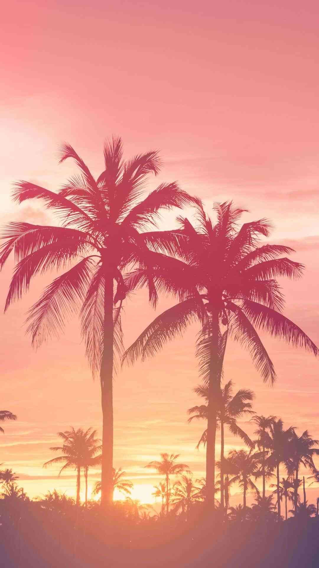  Landschaften Hintergrundbild 1080x1920. Summer iPhone Wallpaper that you have to see. Sunset wallpaper, Landscape wallpaper, Summer wallpaper