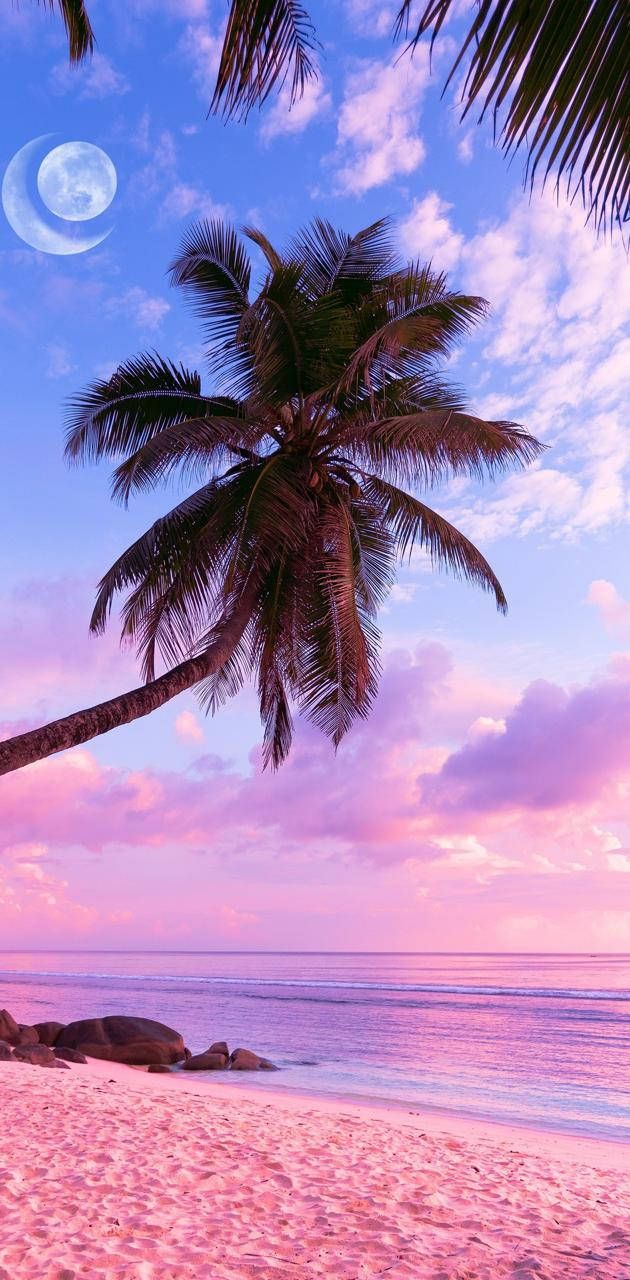  Karibik Hintergrundbild 630x1280. Ästhetischer Strand Wallpaper KOSTENLOS