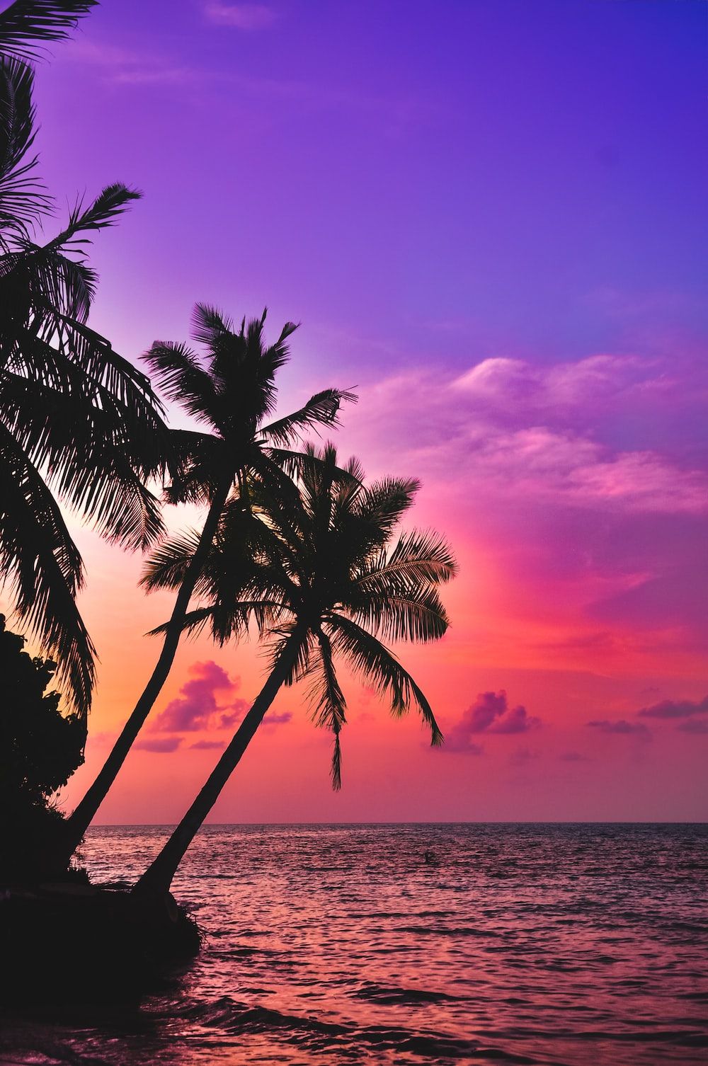  Karibik Hintergrundbild 1000x1506. Tropical Wallpaper: Kostenloser HD Download [HQ]