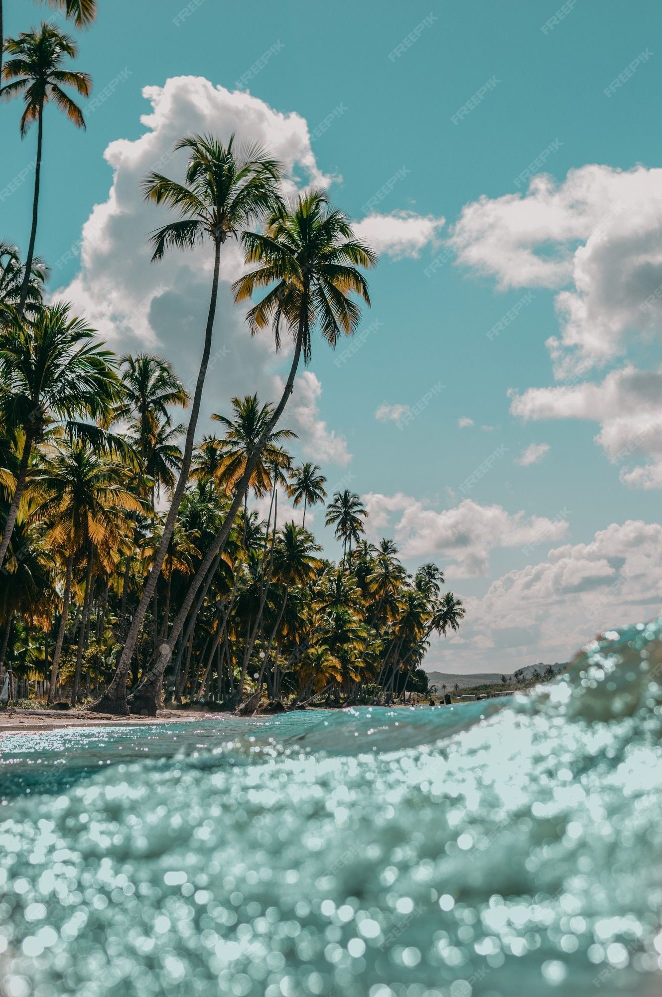  Karibik Hintergrundbild 1329x2000. Fotos Hintergrundbild Tropischer Strand, Über 96.000 hochqualitative kostenlose Stockfotos