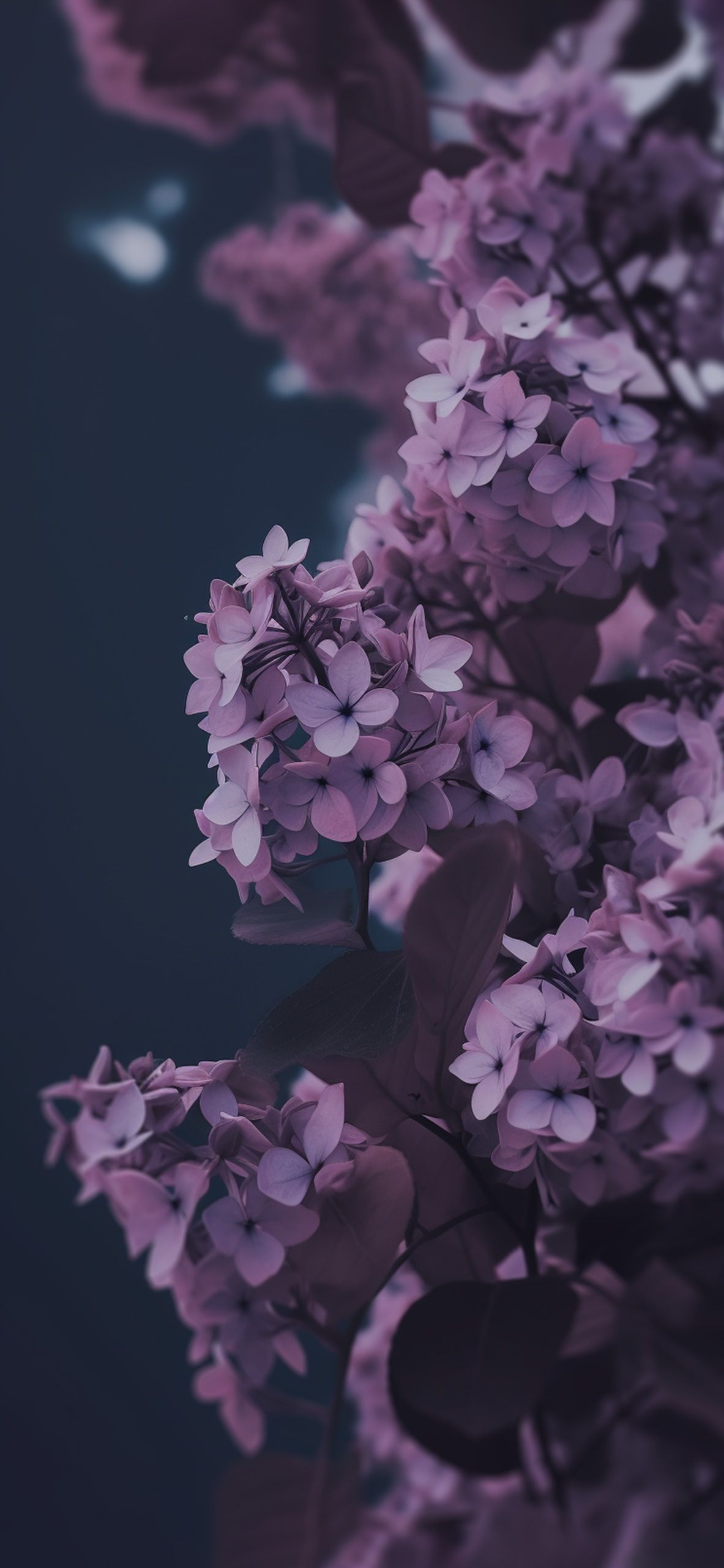  Aesthetic Hintergrundbild 1183x2560. Common Lilac Aesthetic Wallpaper Wallpaper iPhone