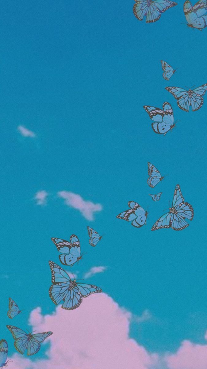  Schmetterling Hintergrundbild 675x1200. Wallpaper. Butterfly wallpaper iphone, Cute patterns wallpaper, Butterfly wallpaper