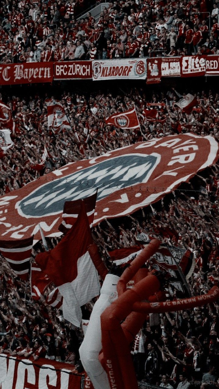  FC Bayern München Hintergrundbild 720x1280. Pin auf Bayern ❤