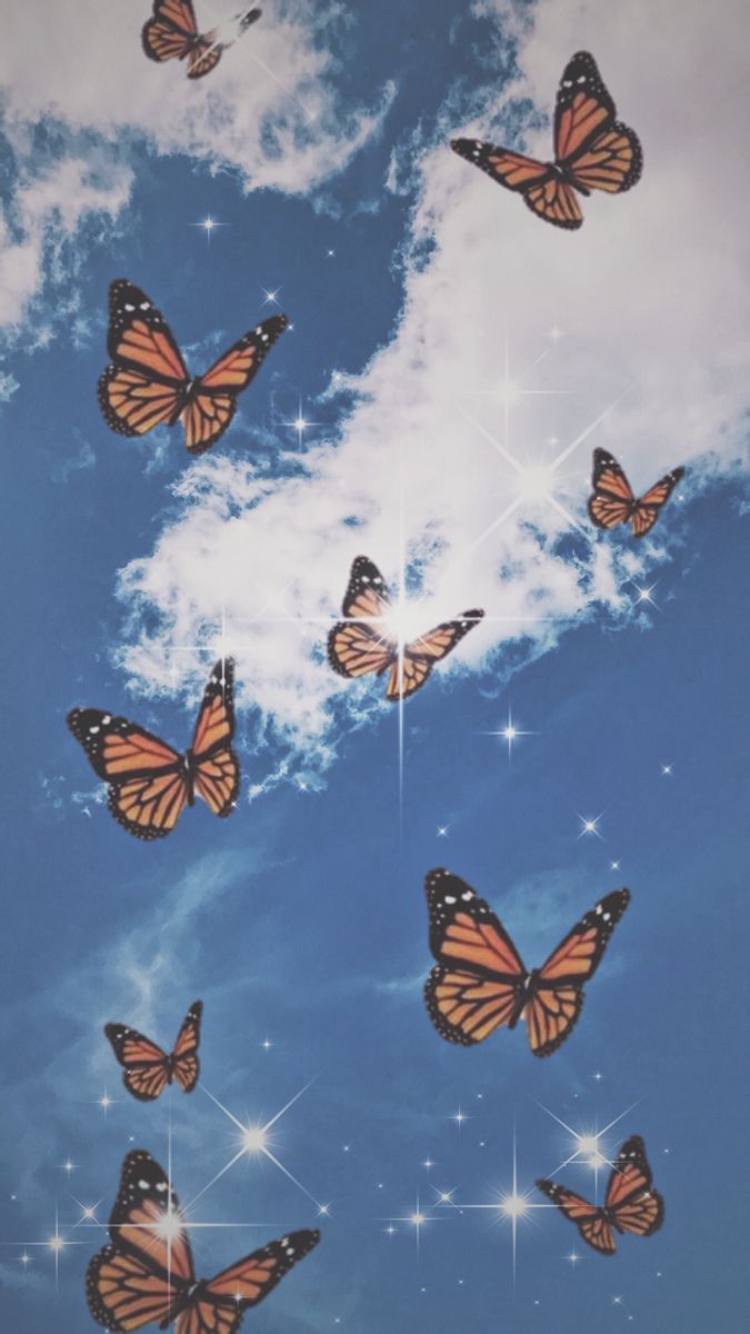  Schmetterling Hintergrundbild 675x1200. Butterfly