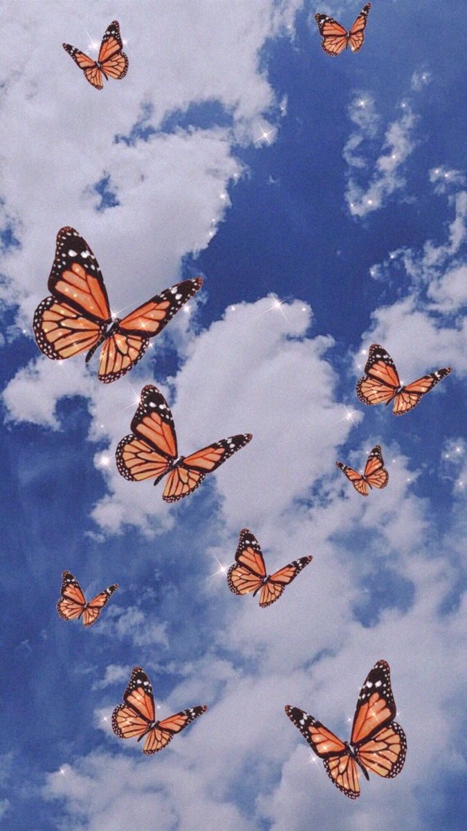  Schmetterling Hintergrundbild 675x1200. Aesthetic butterfly wallpaper. Butterfly wallpaper iphone, Trippy wallpaper, Butterfly wallpaper