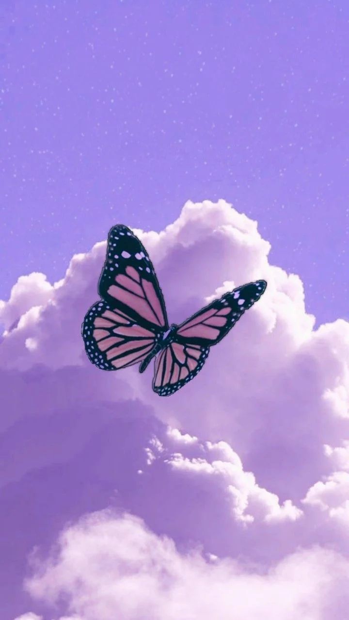  Schmetterling Hintergrundbild 720x1278. Butterflies Wallpaper Explore more Animal, Bug, Butterflies, Colourful, Cute wall. Purple butterfly wallpaper, Purple wallpaper iphone, Butterfly wallpaper iphone