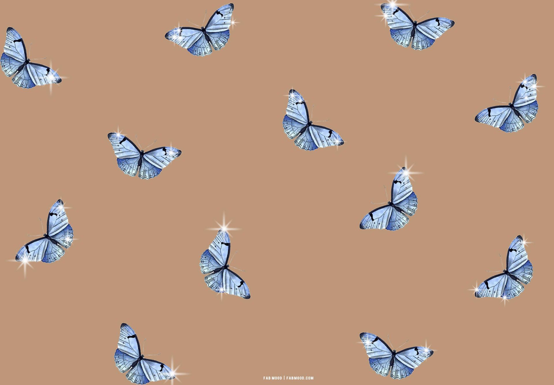  Schmetterling Hintergrundbild 1920x1335. Butterfly Aesthetic Wallpaper