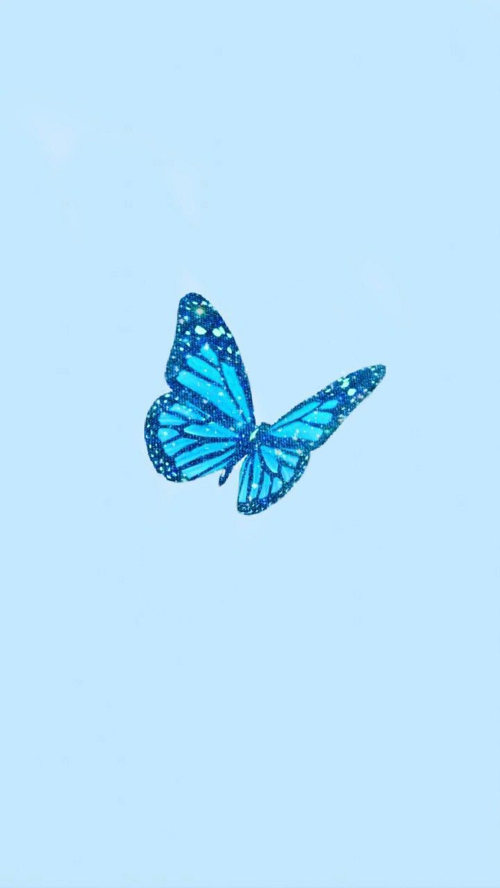  Schmetterling Hintergrundbild 720x1278. Blue butterfly aesthetic wallpaper. Blue butterfly wallpaper, Blue butterfly, Blue poster