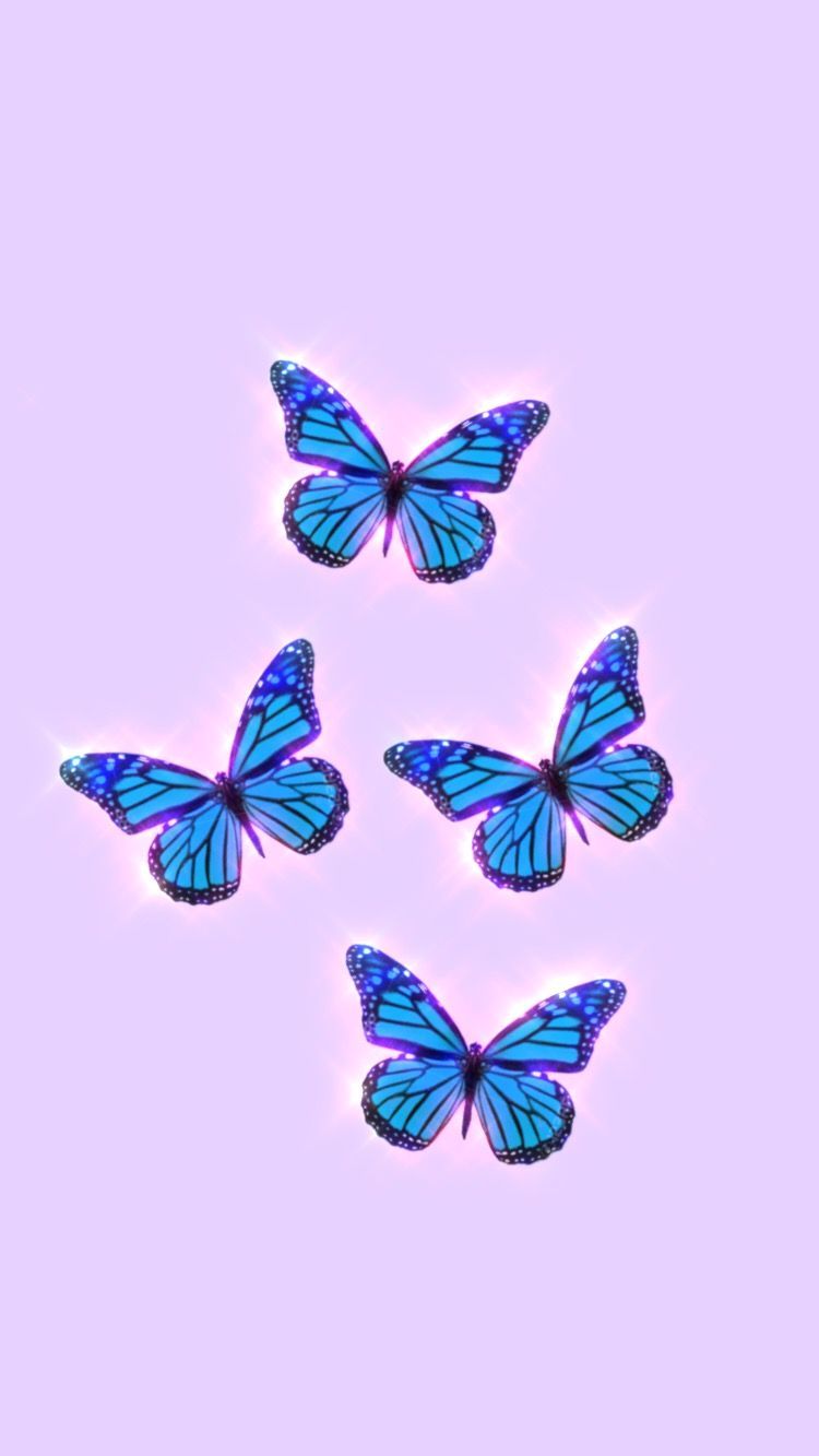  Schmetterling Hintergrundbild 750x1333. Butterfly aesthetic wallpaper. Butterfly wallpaper, Butterfly wallpaper iphone, Blue butterfly wallpaper