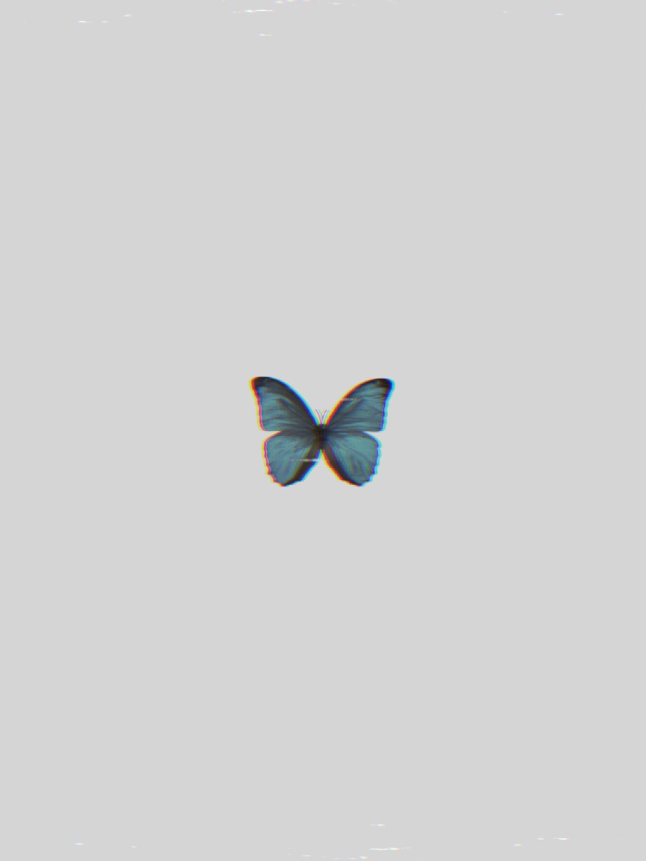  Schmetterling Hintergrundbild 1330x1773. Schmetterling Wallpaper