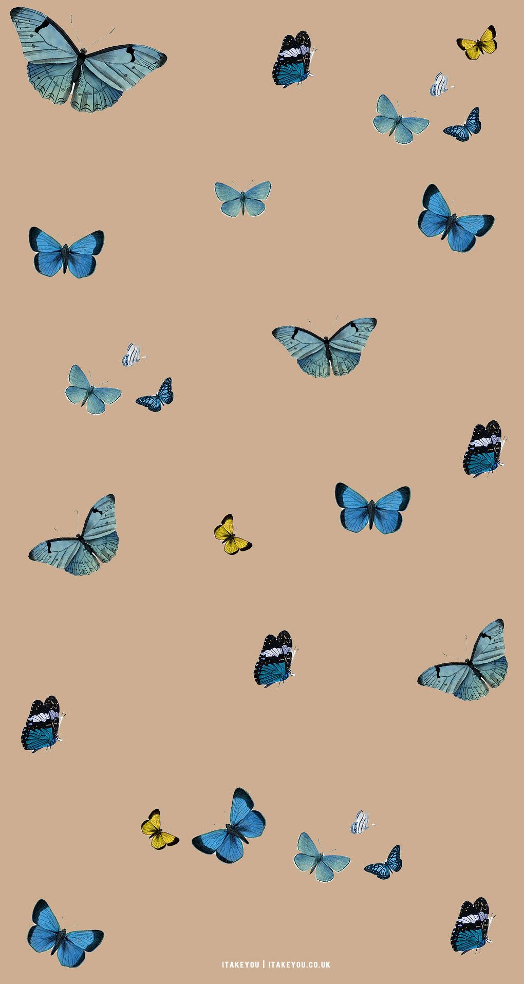  Schmetterling Hintergrundbild 1020x1915. Cute Brown Aesthetic Wallpaper for Phone : Butterfly Assortment I Take You. Wedding Readings. Wedding Ideas