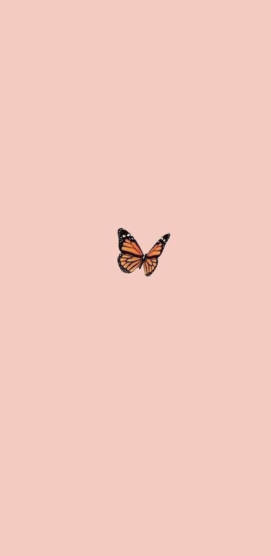  Schmetterling Hintergrundbild 936x1920. Downloaden iPhoneästhetik Schmetterling Wallpaper