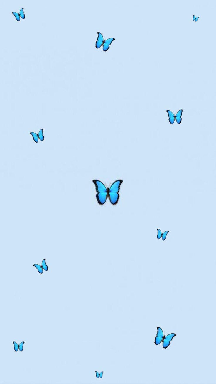  Schmetterling Hintergrundbild 736x1309. Aesthetic butterfly. Blue butterfly wallpaper, Butterfly wallpaper iphone, Blue wallpaper iphone