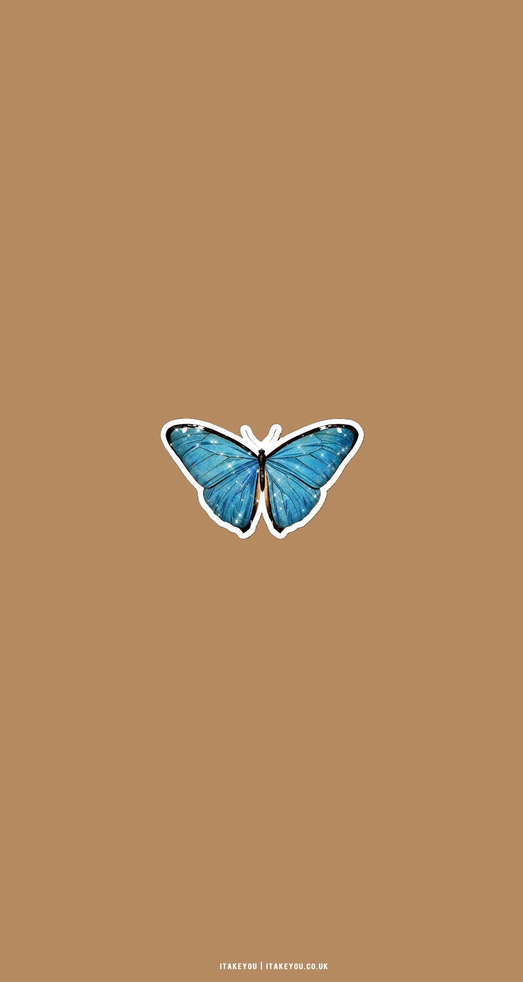  Schmetterling Hintergrundbild 1020x1915. Cute Brown Aesthetic Wallpaper for Phone : Sparkling Butterfly I Take You. Wedding Readings. Wedding Ideas