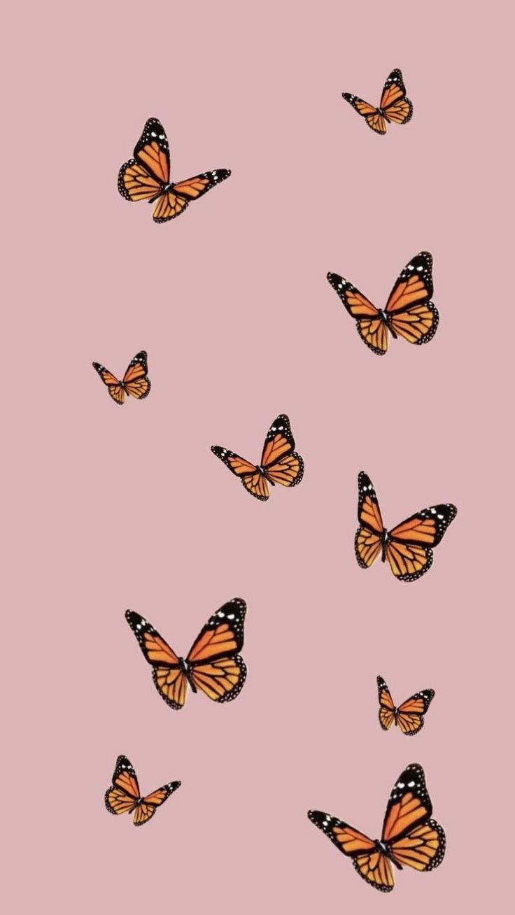  Schmetterling Hintergrundbild 736x1308. Butterfly Aesthetic Wallpaper. iPhone wallpaper, Butterfly wallpaper, Butterfly wallpaper iphone