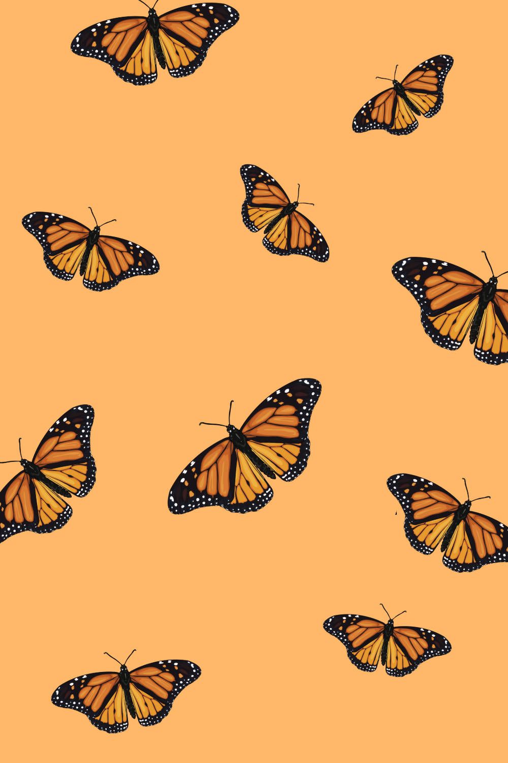  Schmetterling Hintergrundbild 1000x1500. Download Aesthetic Orange Butterfly Matching With Orange Wallpaper