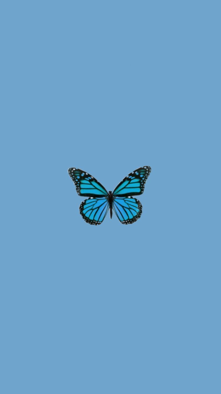  Schmetterling Hintergrundbild 750x1334. Aesthetic Simple Butterfly Wallpaper