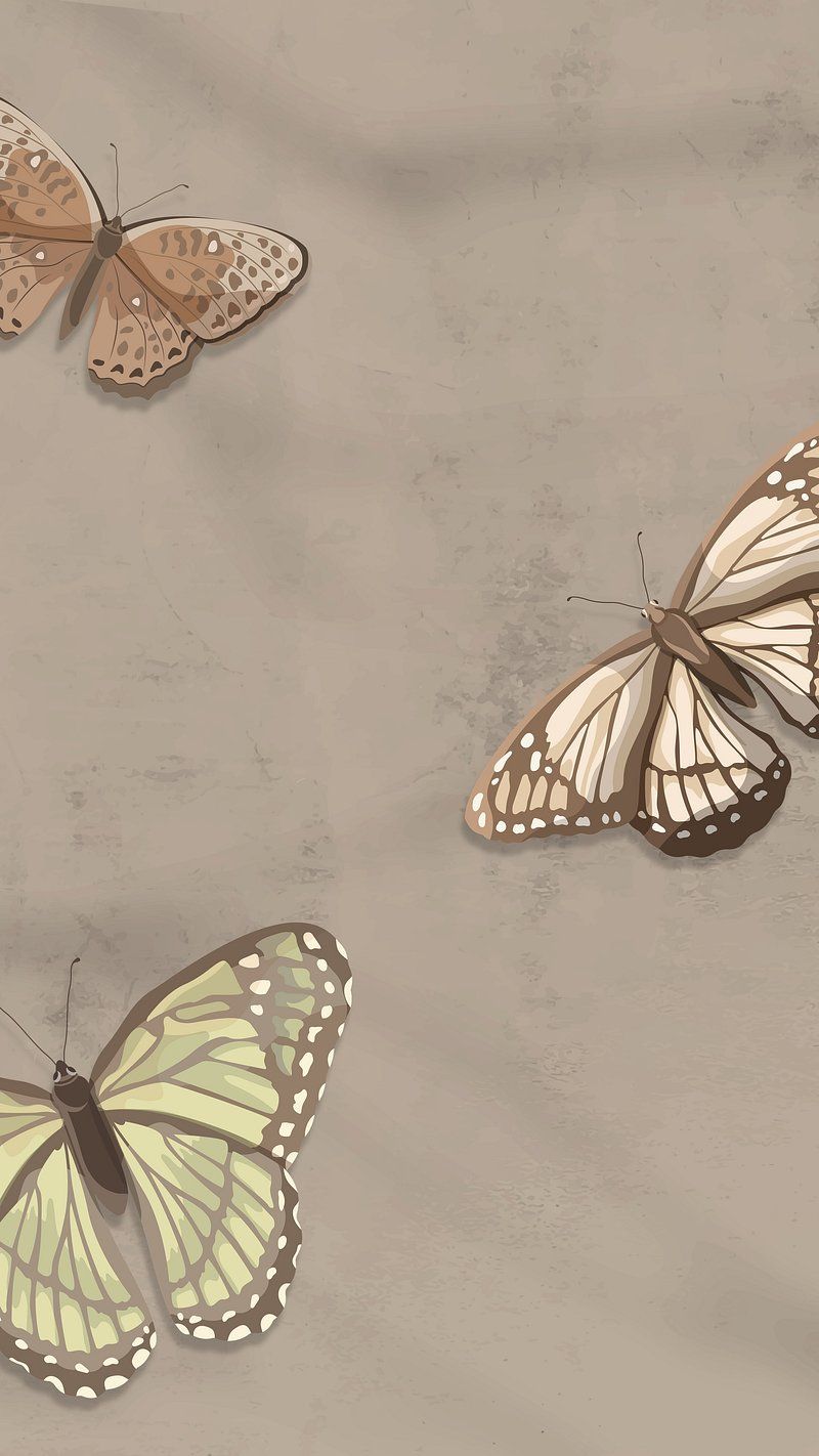  Schmetterling Hintergrundbild 800x1422. Aesthetic iPhone wallpaper butterfly pattern