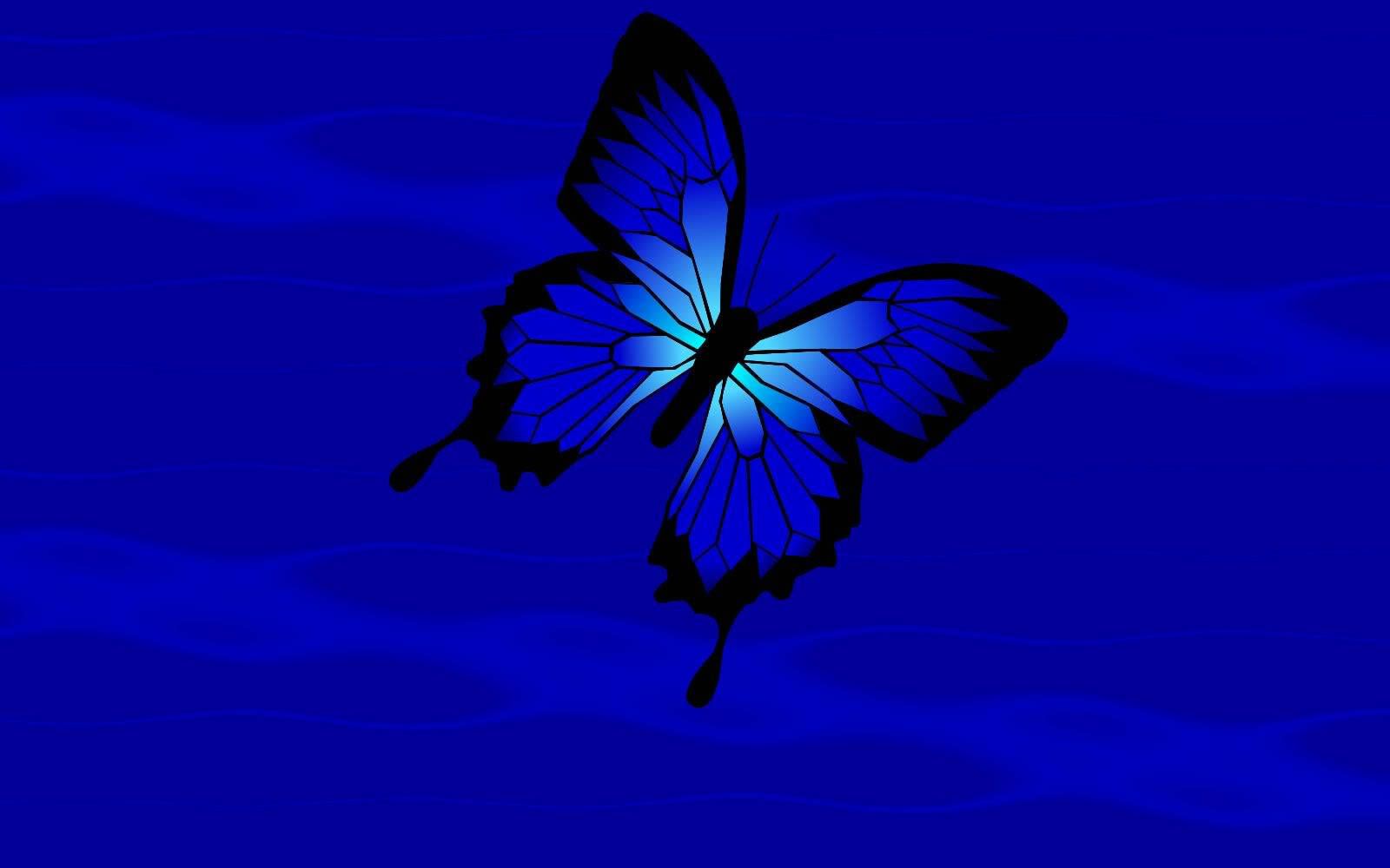  Schmetterling Hintergrundbild 1600x1000. Blue Butterfly Aesthetic Wallpaper