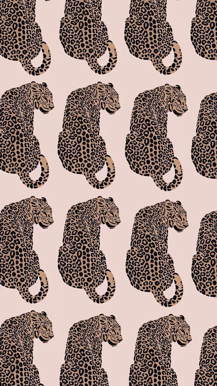  Leopardenmuster Hintergrundbild 736x1308. Leopard Wallpaper in 2022. Cheetah print wallpaper, Leopard wallpaper, Cute flower wallpaper. Cheetah print wallpaper, Leopard wallpaper, Animal print wallpaper