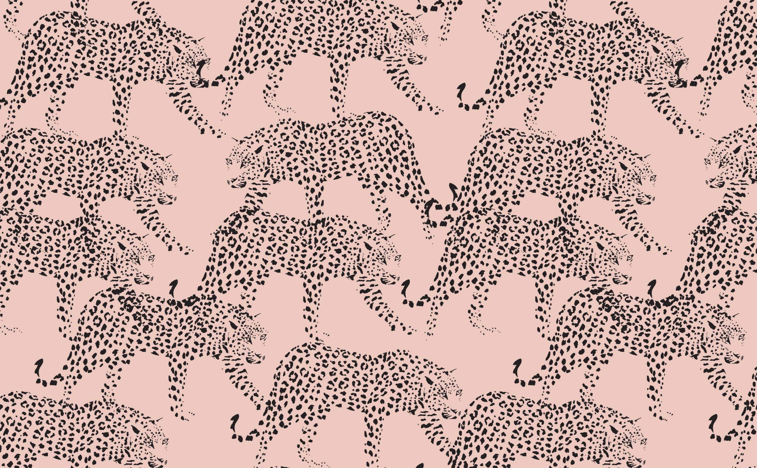  Leopardenmuster Hintergrundbild 2592x1602. Dusty rose with black leopard illustrated overlay Pattern Wallpaper for Walls. Prowl and Purr