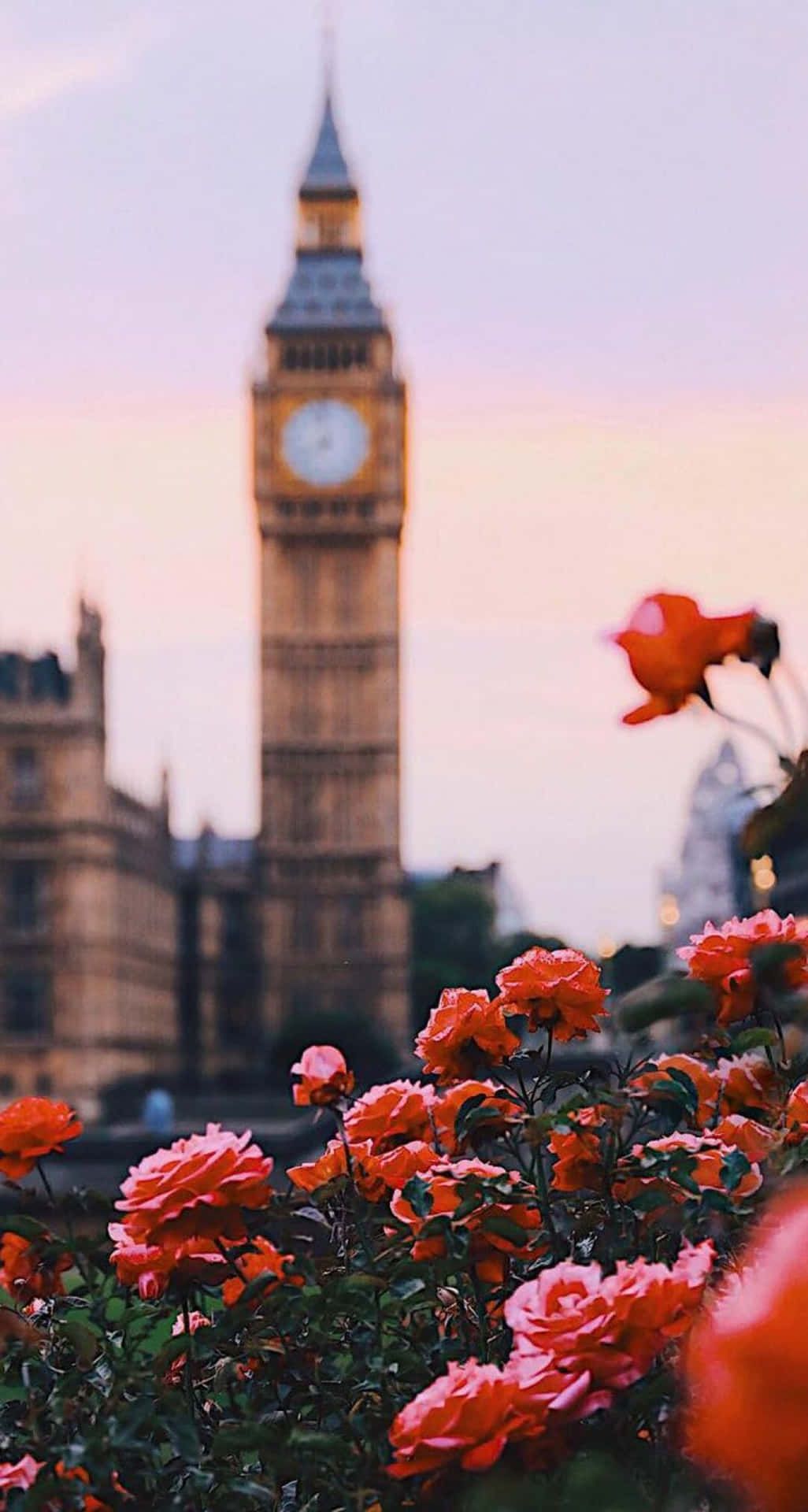  London Hintergrundbild 1026x1920. Download Explore the beautiful city of London through an iPhone Wallpaper