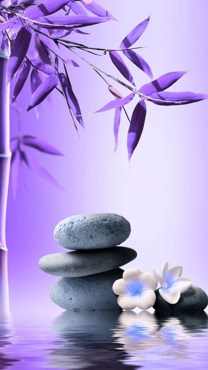  Zen Hintergrundbild 720x1280. Download Zen wallpaper by georgekev now. Browse millions of popular bamboo Wallpaper. Zen wallpaper, Zen picture, Purple flowers wallpaper