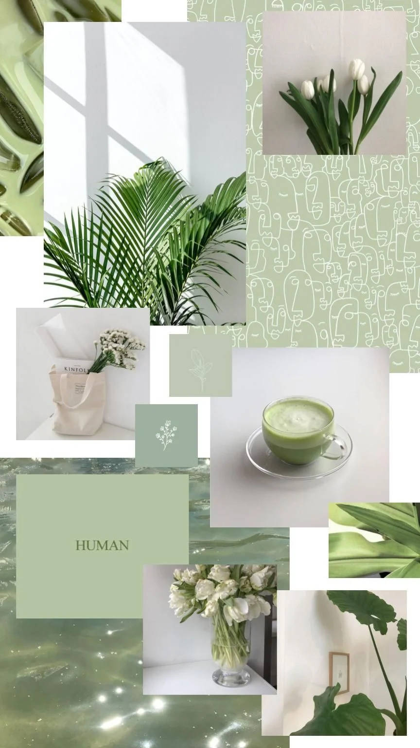  Zen Hintergrundbild 864x1536. Green And White Aesthetic Wallpaper