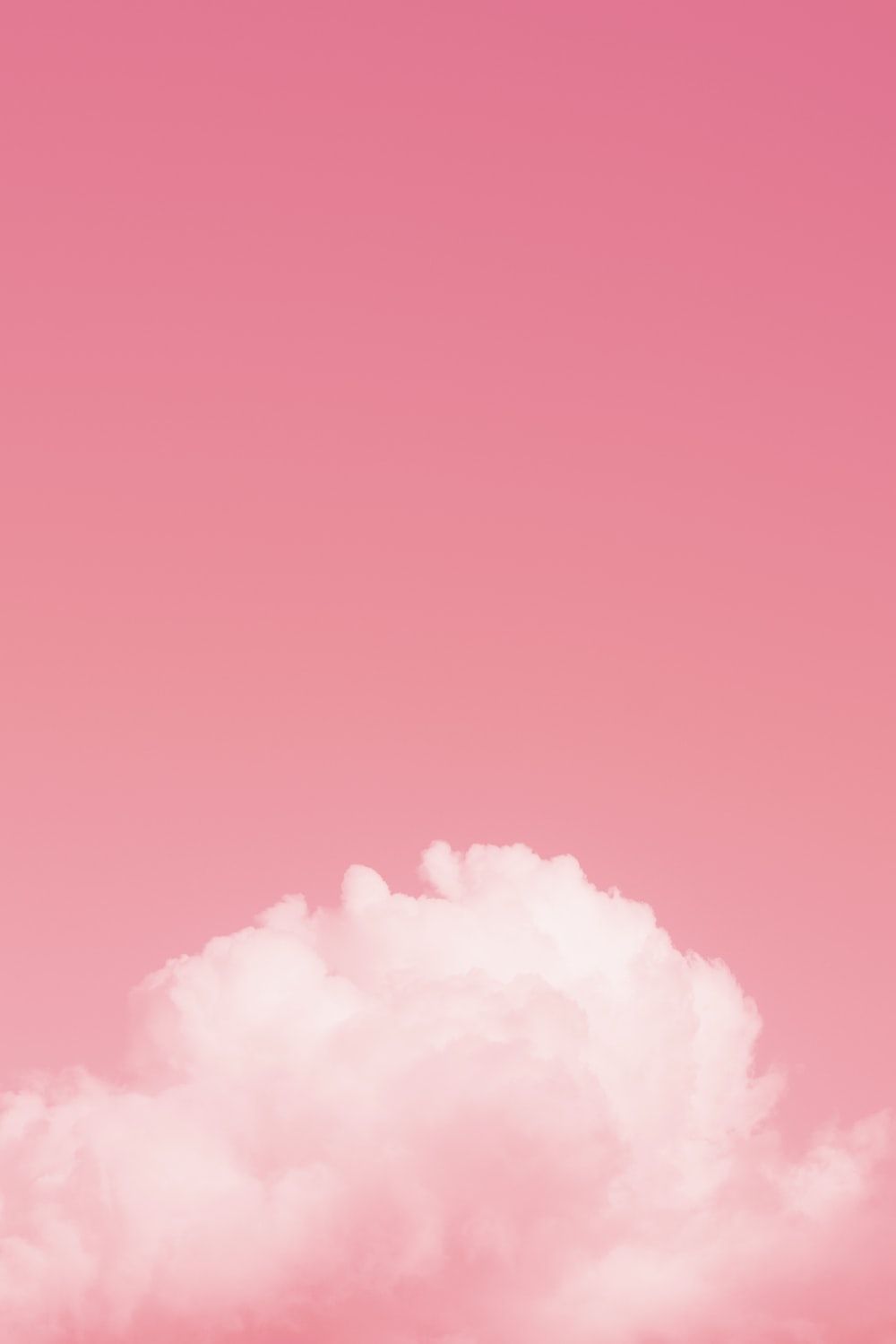  Hellrosa Hintergrundbild 1000x1499. Pink Wallpaper: Kostenloser HD Download [HQ]