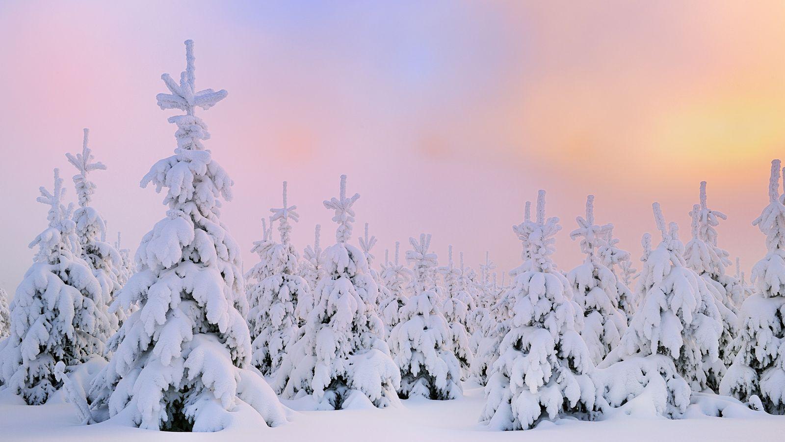  Winterlandschaft Hintergrundbild 1600x900. Macbook Aesthetic Winter Wallpaper