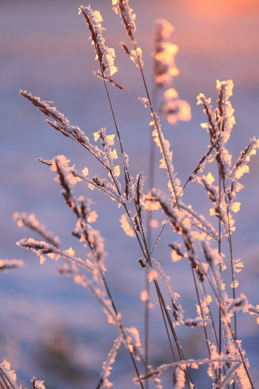  Winterlandschaft Hintergrundbild 853x1280. Winter Schnee Kalt Foto auf Pixabay