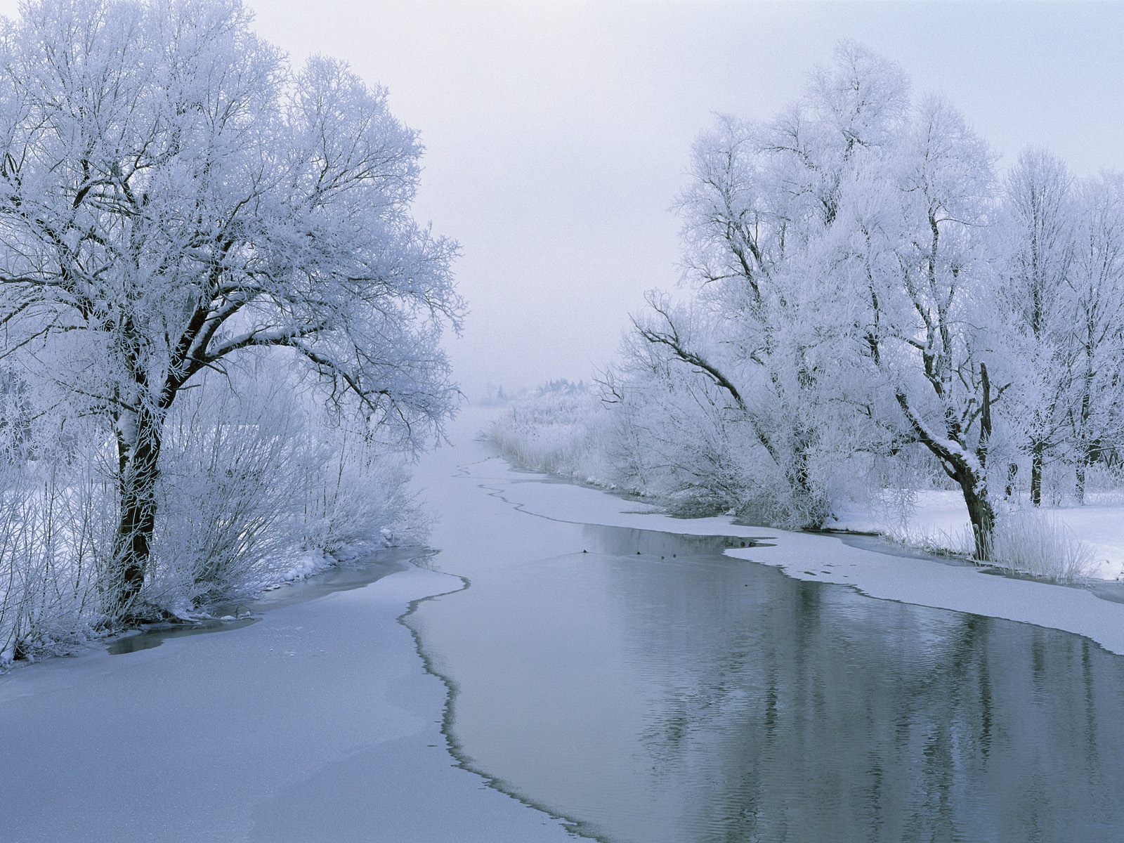  Winterlandschaft Hintergrundbild 1600x1200. Macbook Aesthetic Winter Wallpaper
