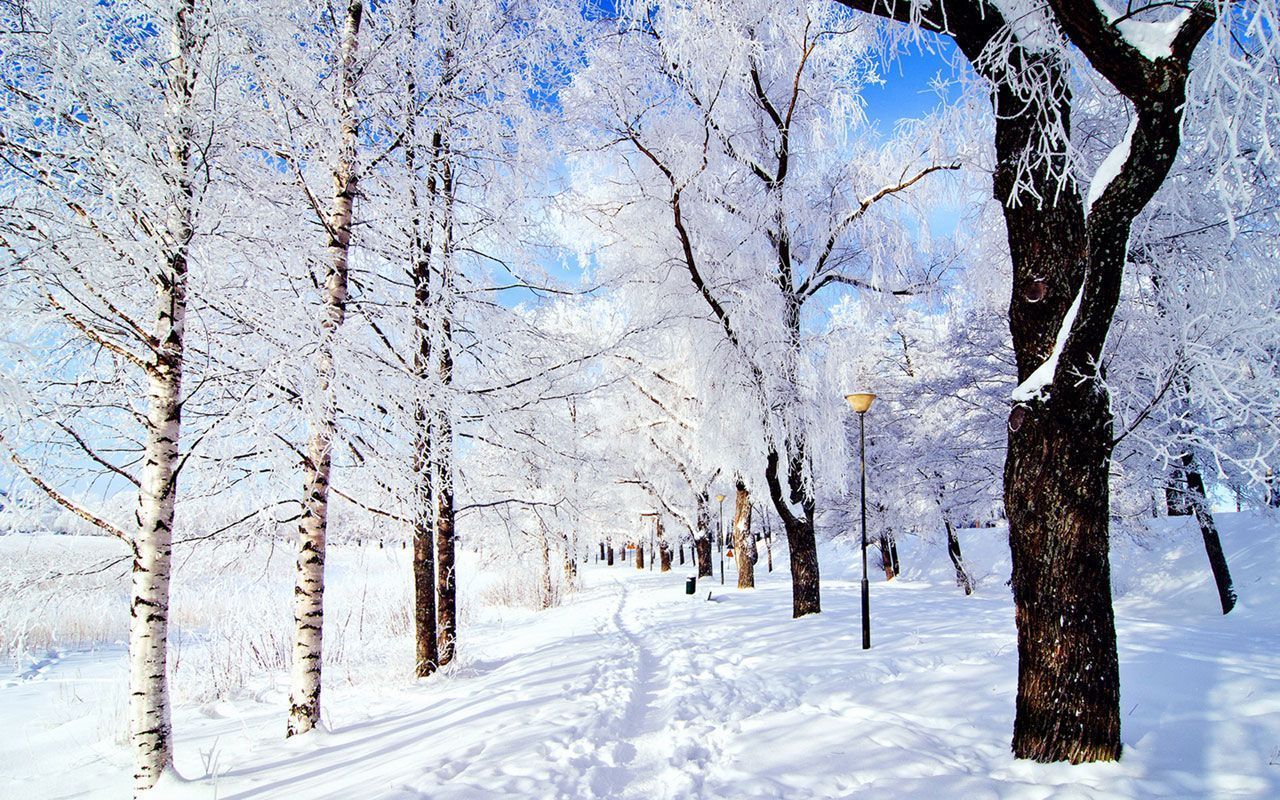  Winterlandschaft Hintergrundbild 1280x800. Macbook Aesthetic Winter Wallpaper